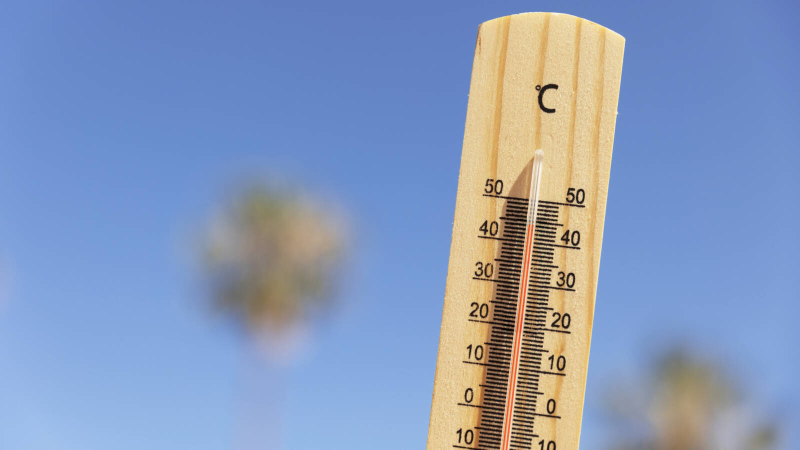 Gdy temperatura spada – dlaczego warto wynająć sprzęt fitness do domu?